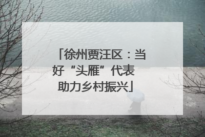 徐州贾汪区：当好“头雁”代表 助力乡村振兴