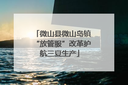 微山县微山岛镇“放管服”改革护航三夏生产