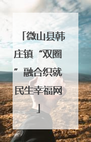 微山县韩庄镇“双圈”融合织就民生幸福网