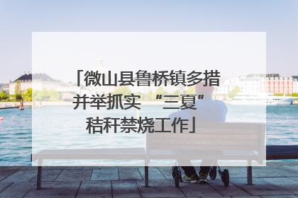 微山县鲁桥镇多措并举抓实 “三夏” 秸秆禁烧工作