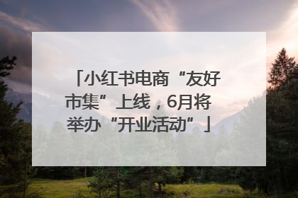小红书电商“友好市集”上线，6月将举办“开业活动”