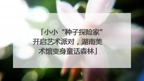 小小“种子探险家”开启艺术派对，湖南美术馆变身童话森林