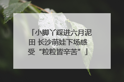 小脚丫踩进六月泥田 长沙萌娃下场感受“粒粒皆辛苦”