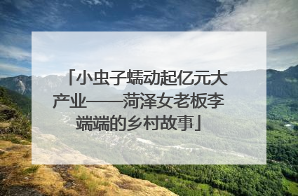 小虫子蠕动起亿元大产业——菏泽女老板李端端的乡村故事