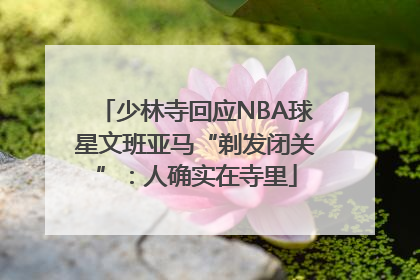 少林寺回应NBA球星文班亚马“剃发闭关”：人确实在寺里
