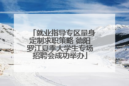 就业指导专区量身定制求职策略 德阳罗江夏季大学生专场招聘会成功举办