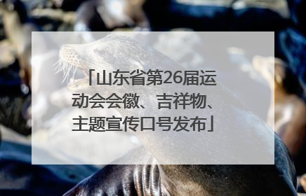 山东省第26届运动会会徽、吉祥物、主题宣传口号发布