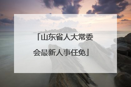 山东省人大常委会最新人事任免