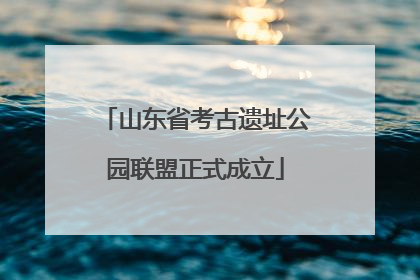 山东省考古遗址公园联盟正式成立