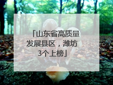 山东省高质量发展县区，潍坊3个上榜