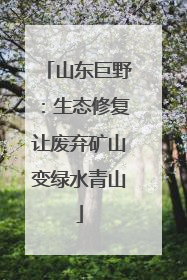 山东巨野：生态修复让废弃矿山变绿水青山