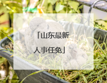 山东最新人事任免