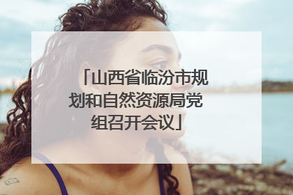 山西省临汾市规划和自然资源局党组召开会议