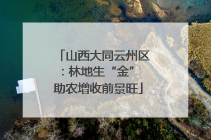 山西大同云州区：林地生“金” 助农增收前景旺
