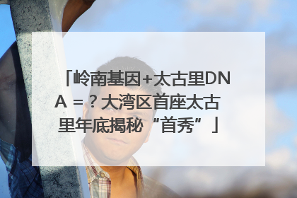 岭南基因+太古里DNA =？大湾区首座太古里年底揭秘“首秀”