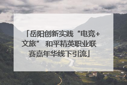 岳阳创新实践“电竞+文旅” 和平精英职业联赛嘉年华线下引流