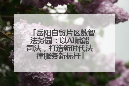 岳阳自贸片区数智法务园：以AI赋能司法，打造新时代法律服务新标杆