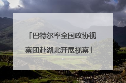 巴特尔率全国政协视察团赴湖北开展视察