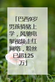 巴西9岁男孩骑猪上学，风驰电掣视频走红网络，粉丝已超125万