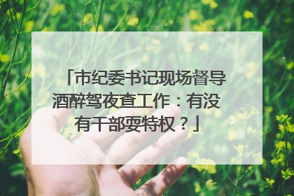 市纪委书记现场督导酒醉驾夜查工作：有没有干部耍特权？