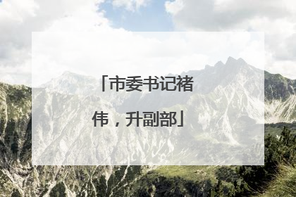 市委书记褚伟，升副部