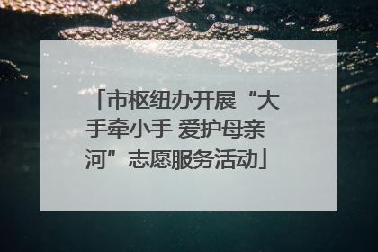 市枢纽办开展“大手牵小手 爱护母亲河”志愿服务活动