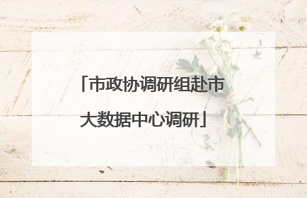 市政协调研组赴市大数据中心调研
