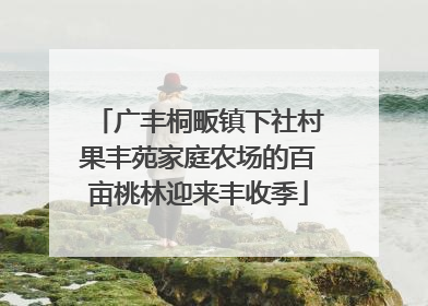 广丰桐畈镇下社村果丰苑家庭农场的百亩桃林迎来丰收季