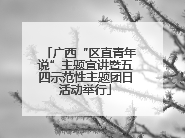 广西“区直青年说”主题宣讲暨五四示范性主题团日活动举行