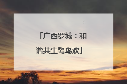 广西罗城：和谐共生鹭鸟欢