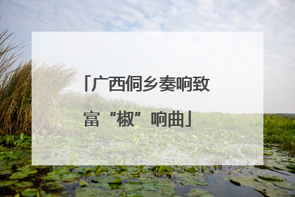 广西侗乡奏响致富“椒”响曲