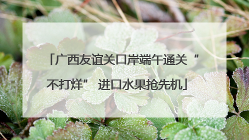 广西友谊关口岸端午通关“不打烊” 进口水果抢先机