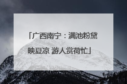 广西南宁：满池粉黛映夏凉 游人赏荷忙