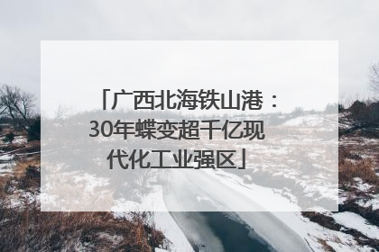 广西北海铁山港：30年蝶变超千亿现代化工业强区