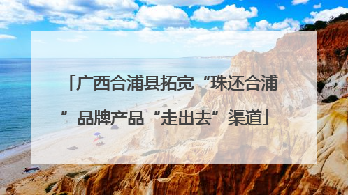 广西合浦县拓宽“珠还合浦”品牌产品“走出去”渠道
