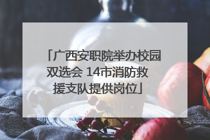 广西安职院举办校园双选会 14市消防救援支队提供岗位
