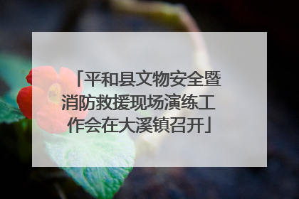平和县文物安全暨消防救援现场演练工作会在大溪镇召开