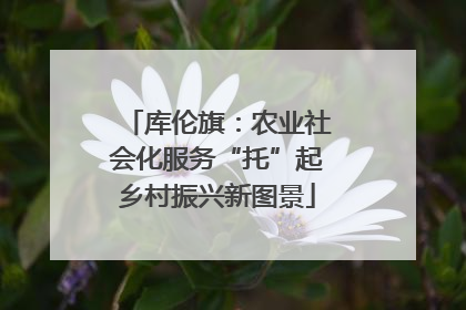 库伦旗：农业社会化服务“托”起乡村振兴新图景