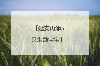 延安再添5只朱鹮宝宝