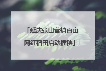延庆张山营镇百亩网红稻田启动插秧