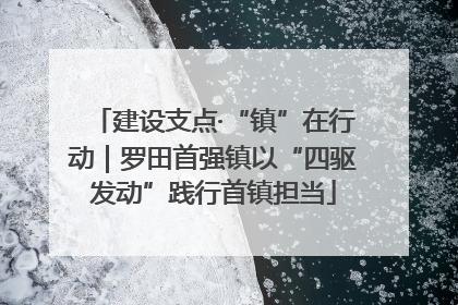 建设支点·“镇”在行动｜罗田首强镇以“四驱发动”践行首镇担当
