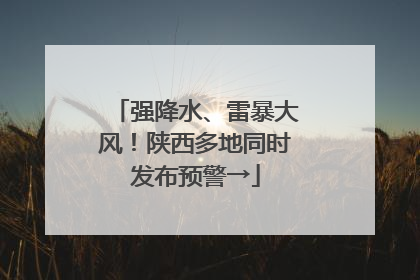 强降水、雷暴大风！陕西多地同时发布预警→