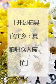 开封杞县官庄乡：夏粮归仓入廪忙
