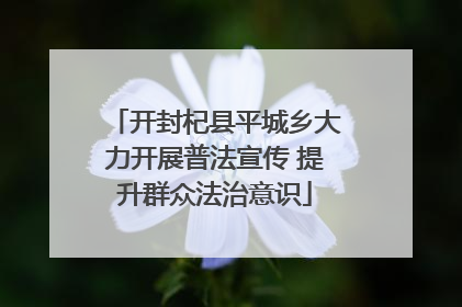 开封杞县平城乡大力开展普法宣传 提升群众法治意识