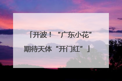 开波！“广东小花”期待天体“开门红”