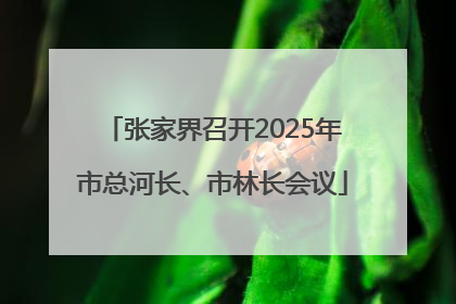 张家界召开2025年市总河长、市林长会议