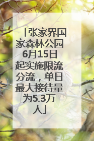 张家界国家森林公园6月15日起实施限流分流，单日最大接待量为5.3万人