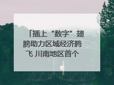 插上“数字”翅膀助力区域经济腾飞 川南地区首个智算中心启动