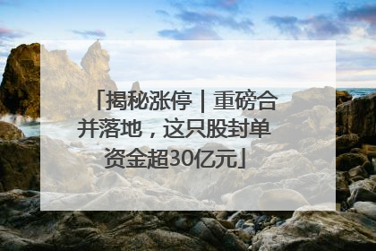 揭秘涨停｜重磅合并落地，这只股封单资金超30亿元