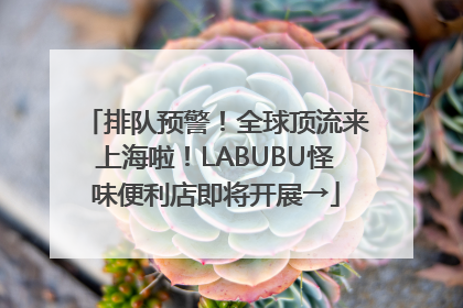排队预警！全球顶流来上海啦！LABUBU怪味便利店即将开展→